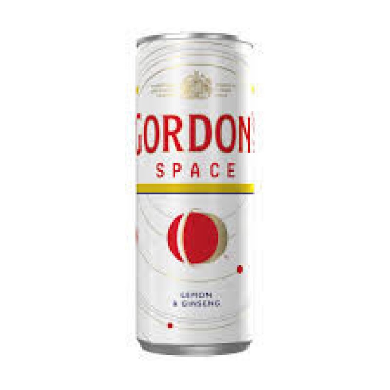 Gordon's Space Gin 275ml