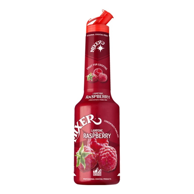 Mixer Πουρές Raspberry 1Lt